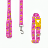 PawsIndia Flamingos & Sun Printed Collar & Leash Set for Dogs & Cats