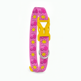 PawsIndia Flamingos & Sun Printed Collar for Dogs & Cats