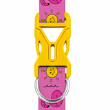 PawsIndia Flamingos & Sun Printed Collar for Dogs & Cats