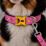 PawsIndia Flamingos & Sun Printed Collar & Leash Set for Dogs & Cats