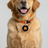 Customized Pet Id Tag - Fueled By Chaos