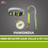 Pawsindia Green Reflective Collar, Leash and Customized Name Tag Combo