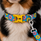 PawsIndia Glazed Donut Printed Collar for Dogs & Cats
