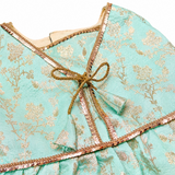 PawsIndia Traditional Royal Zari Dress For Cats - Ice Blue