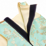 PawsIndia Traditional Royal Zari Dress For Cats - Ice Blue