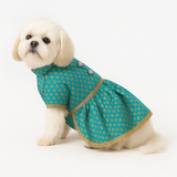 Pawsindia Traditional Gold Printed Dress for Dogs - Aqua Green| Ethnic Festive Wear