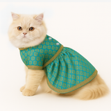 Pawsindia Traditional Royal Brocade Dress for Cats - Aqua Green | Ethnic Festive Wear