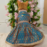 Pawsindia Traditional Royal Brocade Dress for Cats - Aqua Green | Ethnic Festive Wear