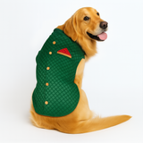 Pawsindia Traditional Royal Brocade Kurta for Dogs - Aqua Green | Ethnic Festive Wear