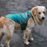 Pawsindia Traditional Royal Brocade Kurta for Dogs - Aqua Green | Ethnic Festive Wear