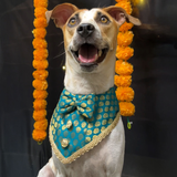 PawsIndia Traditional Royal Brocade Tuxedo For Pets - Aqua Green| Ethnic Festive Wear