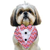 PawsIndia Happy Hearts Pattern Tuxedo Bandana with Matching Bow For Pets