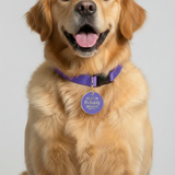 Customized Pet Id Tag - Hello I'm Probably Anxious