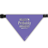 PawsIndia Pet Bandana - Hello I'm Probably Anxiouos