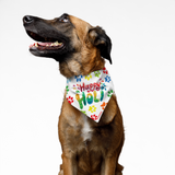 PawsIndia Pet Bandana - Happy Holi