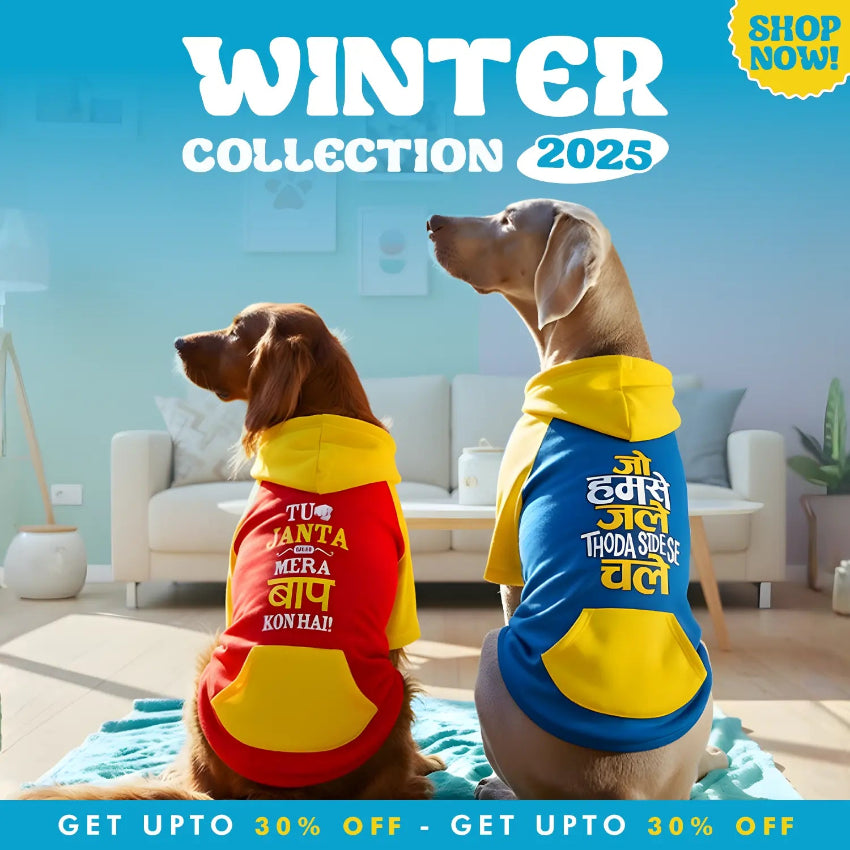 Two dogs wearing colorful winter coats with text in a living room setting, promoting a winter collection 2025 with shopping call-to-action.