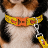 PawsIndia Hot Dog Printed Collar for Dogs & Cats