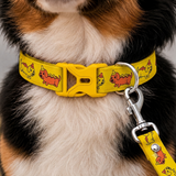 PawsIndia Hot Dog Printed Collar for Dogs & Cats