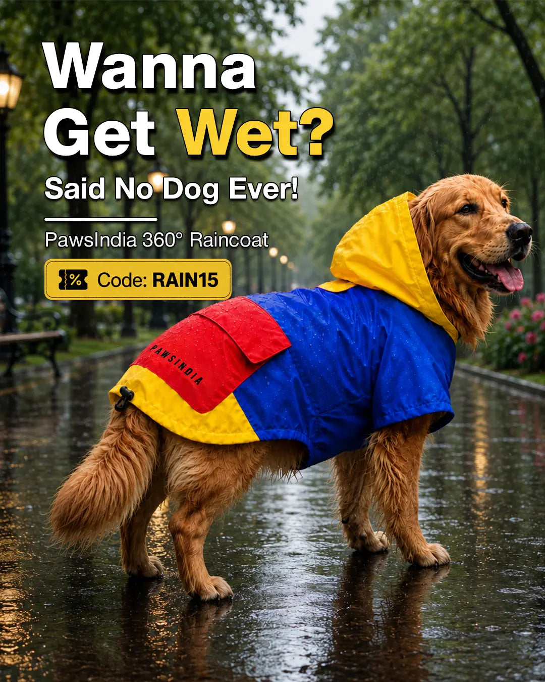 Pawsindia