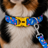PawsIndia Ice-Cream Candy Printed Collar for Dogs & Cats