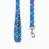 PawsIndia Ice-cream Candy Printed Collar & Leash Set for Dogs & Cats