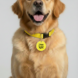 Customized Pet Id Tag - I Have To Pee Again