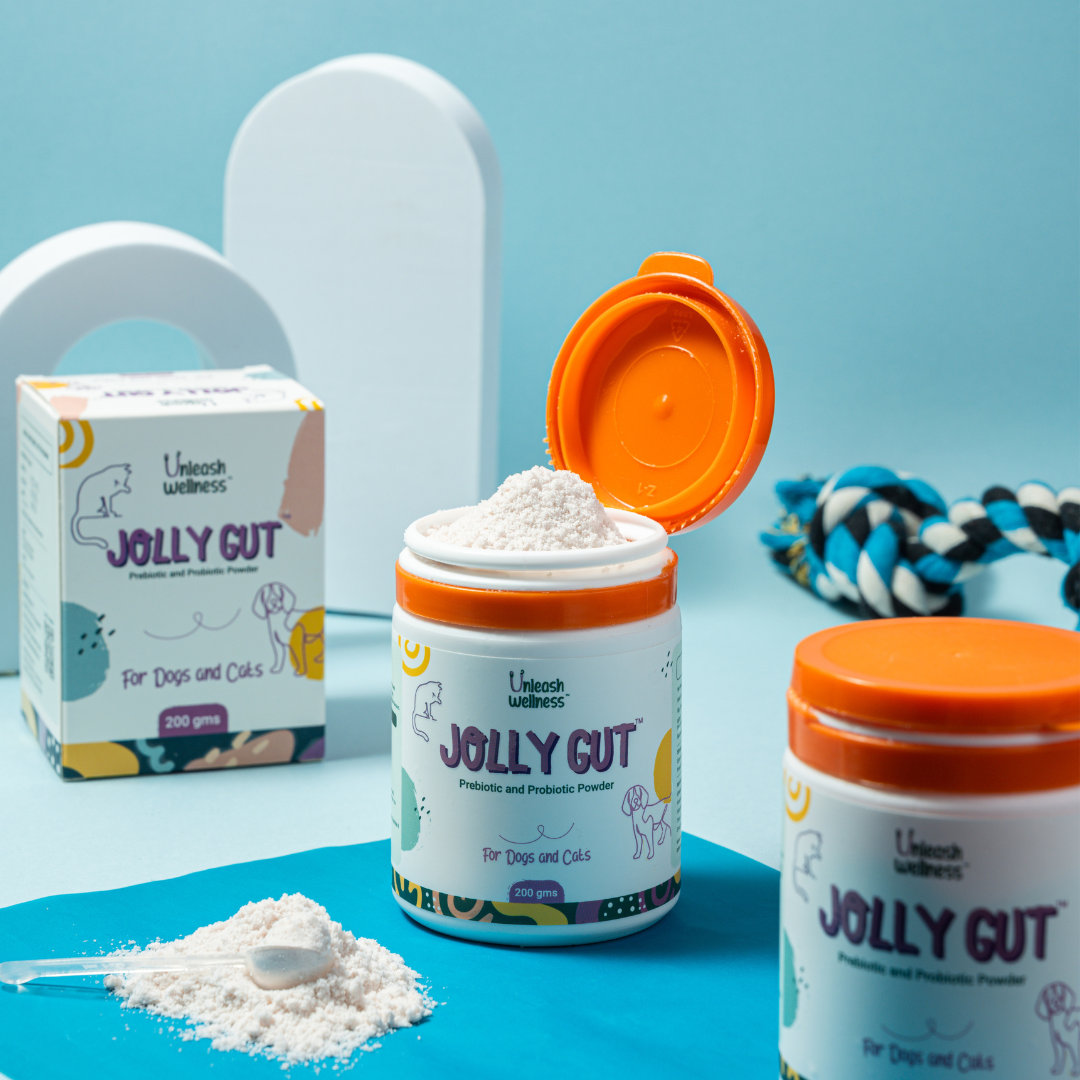 JOLLY GUT - Pre & Pro Biotic Supplement