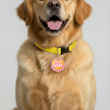 Customized Pet Id Tag - Just A Baby