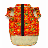 PawsIndia Traditional Red Maharaja Kurta for Dogs – Limited Edition