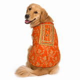 Pawsindia Traditional Royal Zari Kurta For Dogs - Orange