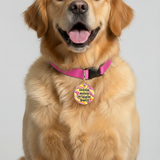 Customized Pet Id Tag - Little Miss Wiggle Butt