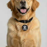 Customized Pet Id Tag - Little Fucker