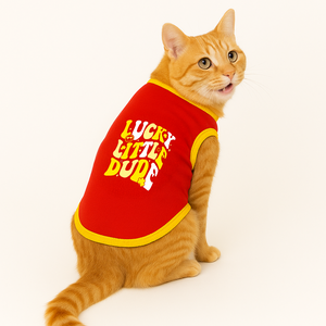 PawsIndia Ribbed Sleeves Printed Cat T-Shirt - Lucky Little Dude