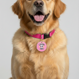 Customized Pet Id Tag - Mama's Girl - Pink