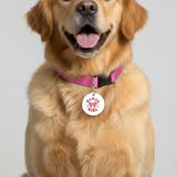 Customized Pet Id Tag - Mama's Girl - White