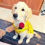 PawsIndia Traditional Marigold Yellow  Prince Kurta for Dogs - Limited Edition