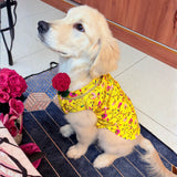 PawsIndia Traditional Marigold Yellow  Prince Kurta for Dogs - Limited Edition