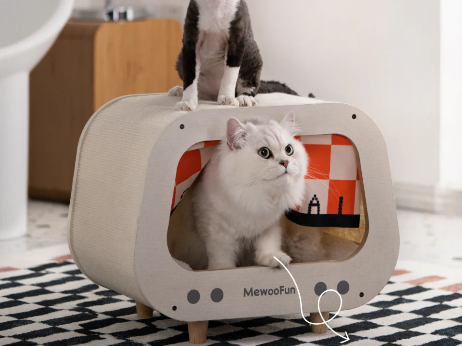 MewooFun Mini TV Cat House