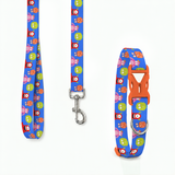 PawsIndia Monsters Printed Collar & Leash Set for Dogs & Cats