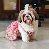 PawsIndia Traditional Desi Diva – Lehenga Choli Set For Dogs - Pink | Ethnic Festive Wear
