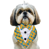 PawsIndia Orange Pattern Tuxedo Bandana With Matching Bow For Pets