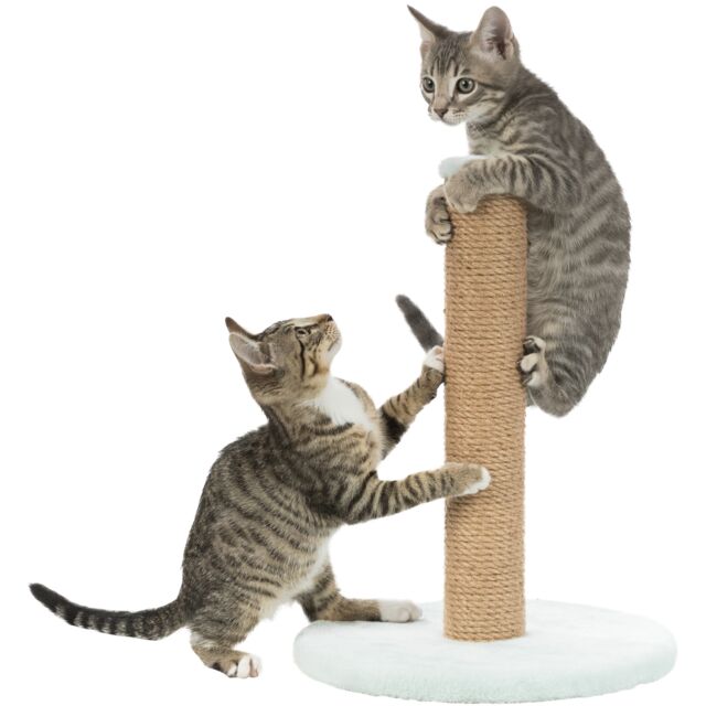 Trixie - Junior Scratching Post On Plate (Mint, 30 X 7 X 42 cm)