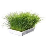 Trixie - Soft Grass Bowl (100 gms)