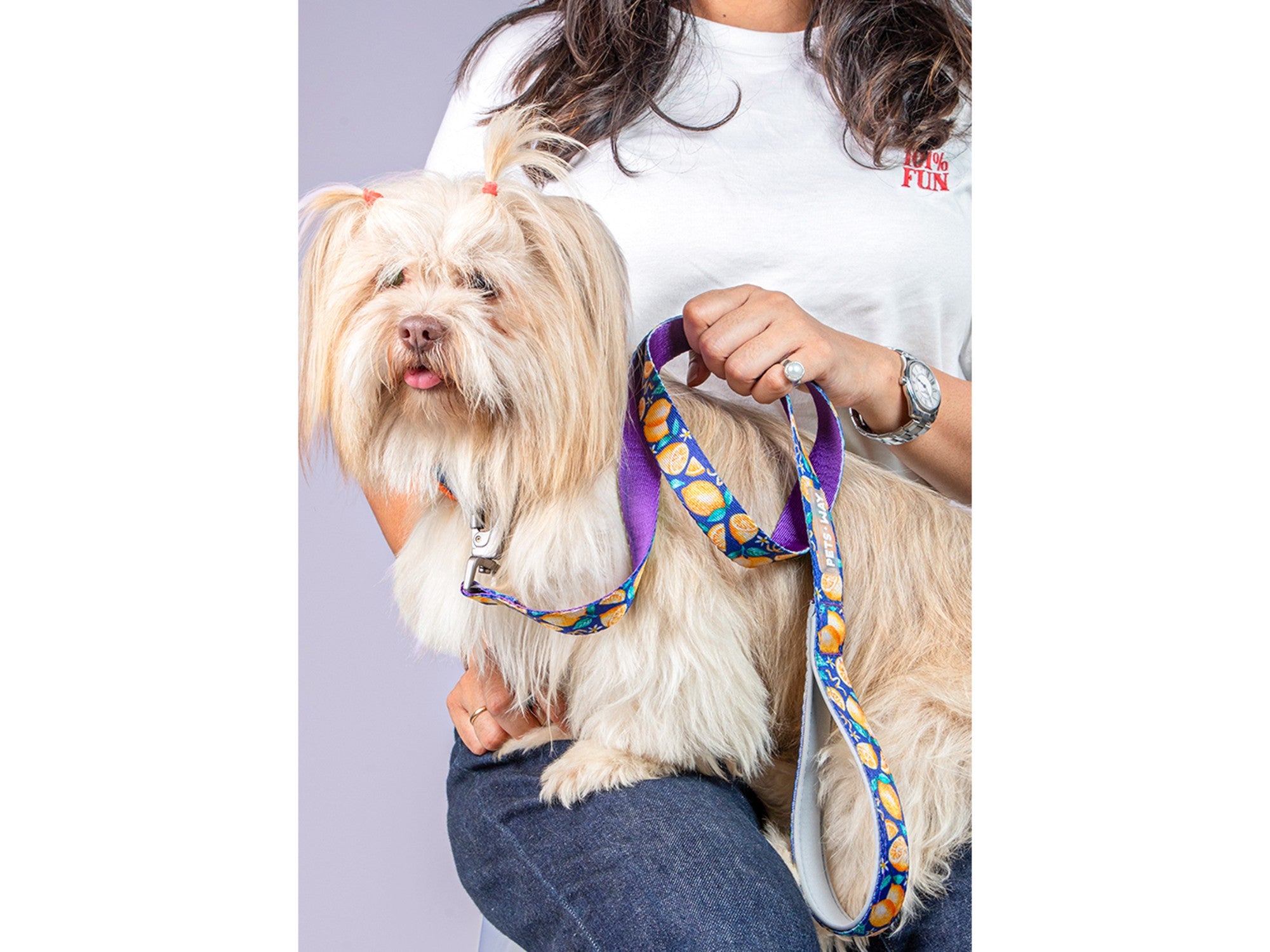 Pets Way Printed Dog Collar - Autumn
