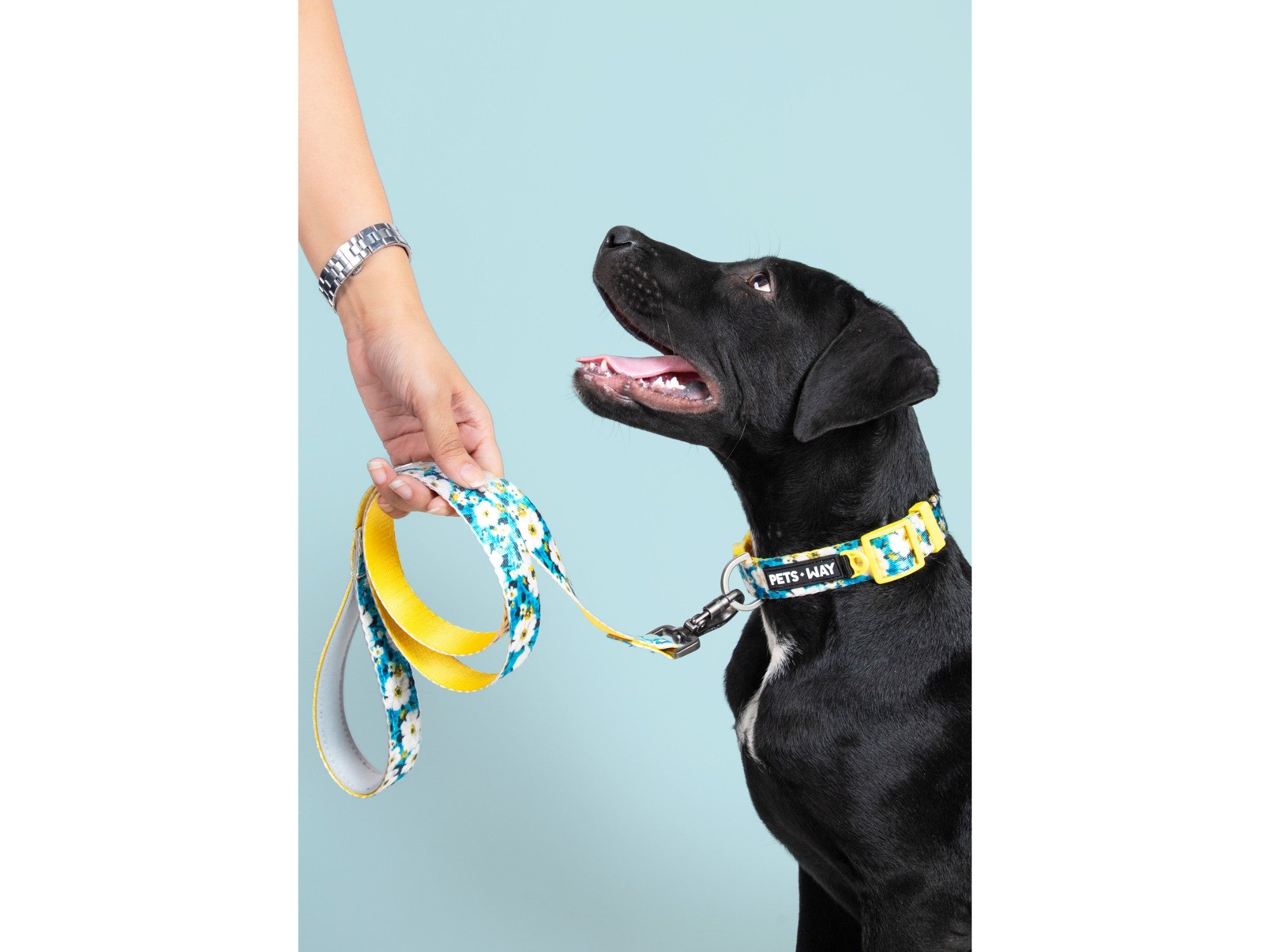 Pets Way Printed Dog Collar - Blossom
