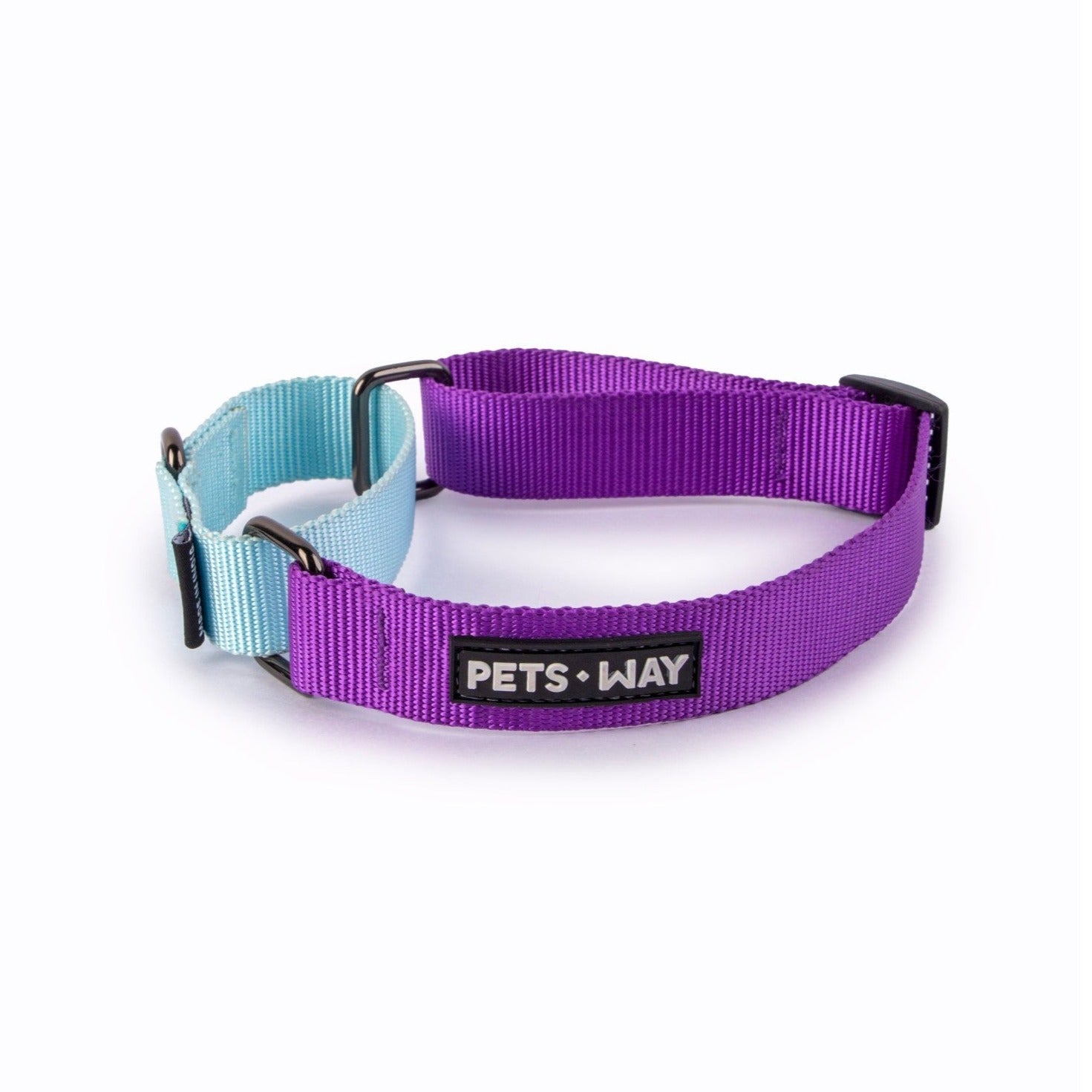 Pets Way Martingale Collar - Amethyst & Sky