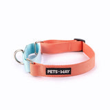Pets Way Martingale Collar - Peach &  Sky