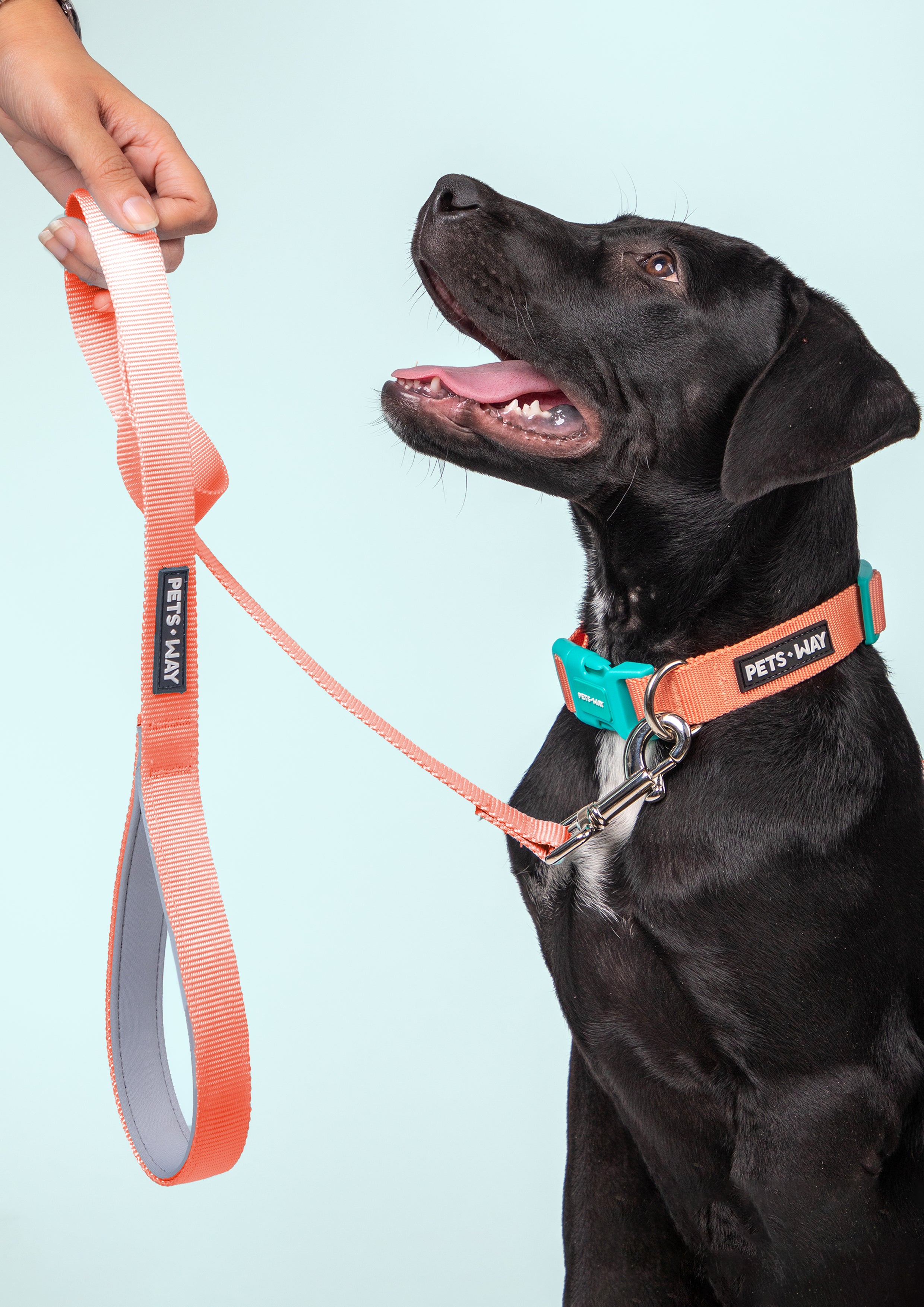 Pets Way Solid Dog Leash - Peach