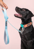 Pets Way Solid Dog Leash - Sky