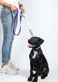 Pets Way Dual Handle Leash - Amethyst & Sky